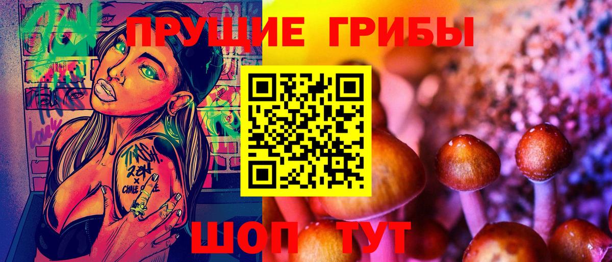 купить наркотик  Вход с VPN  Кинель  Псилоцибиновые грибы мицелий 