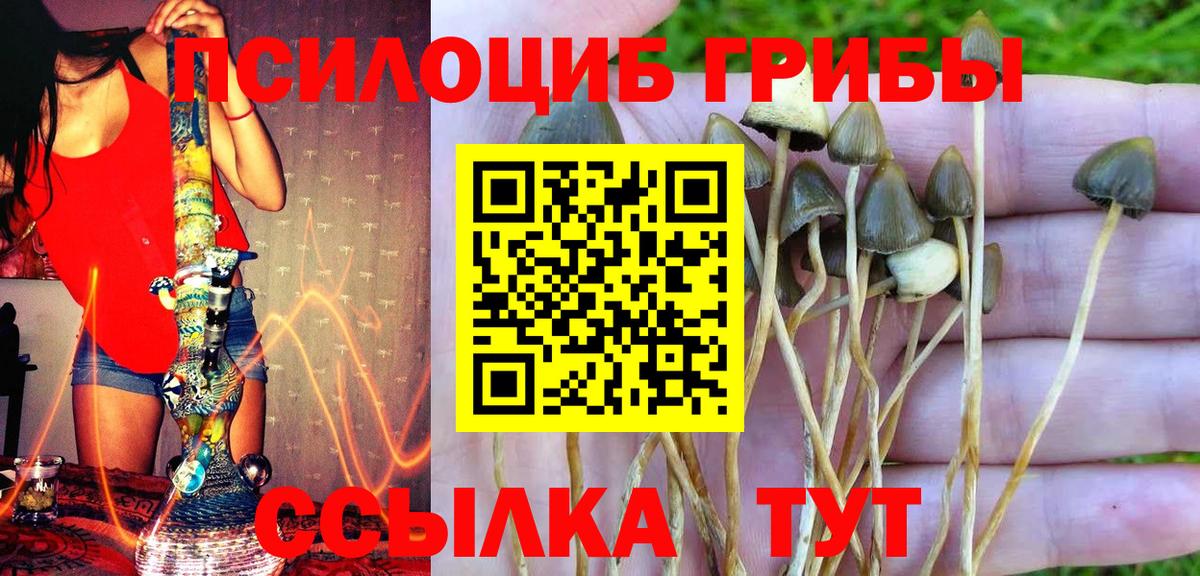 Псилоцибиновые грибы мухоморы Кинель